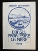 Valentin Petculescu - Orașul fără ieșire la mare, poezii, coperta Dan Stanciu, Editura Litera, 1989