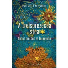 A treisprezecea stea - Dan Udila Friedman