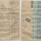 Romania, Saul Slaim Ornstein, Nota, 1946
