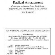 Radical Amazement: Contemplative Lessons from Black Holes, Supernovas, and Other Wonders of the Universe