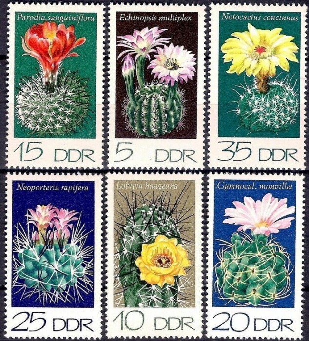 C2298 - Germania DDR 1974 - Flori 6v.neuzat,perfecta stare,MNH