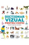 Dictionar Vizual Pentru Copii Cu Peste 9000 Cuvinte Ilustratii Color - DK