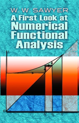 A First Look at Numerical Functional Analysis foto
