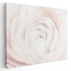 Tablou floare trandafir alb detaliu Tablou canvas pe panza CU RAMA 80x120 cm