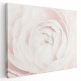 Tablou floare trandafir alb detaliu Tablou canvas pe panza CU RAMA 60x80 cm