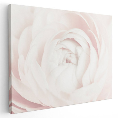Tablou floare trandafir alb detaliu Tablou canvas pe panza CU RAMA 60x80 cm foto