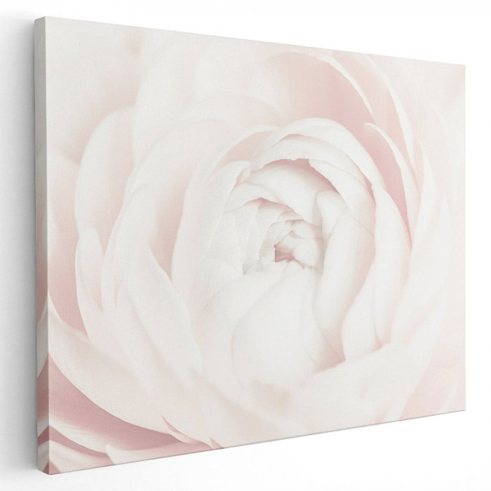 Tablou floare trandafir alb detaliu Tablou canvas pe panza CU RAMA 30x40 cm
