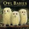 Owl Babies