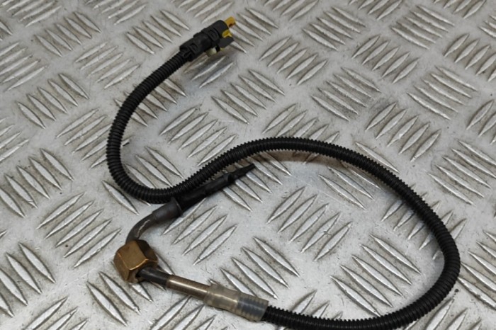 Senzor de temperatură MERCEDES-BENZ E W213 2020 OEM: A0009059604 30639720