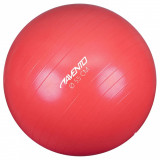 Avento Minge De Fitness/Gimnastică Roz Diam. 55 cm 433418