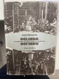 Oglinda. Eseu privind o legenda stiintifica, revelatii... JURGIS BALTRUSAITIS