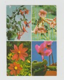 bnk cp Flori - carte postala uzata - marca fixa - cod 418/71