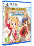 Story Of Seasons Grand Bazaar