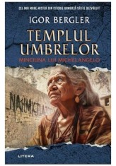 Templul umbrelor. Minciuna lui Michelangelo - Igor Bergler - Litera