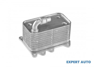 Termoflot BMW Seria 5 (2001-2010) [E60] #1 foto