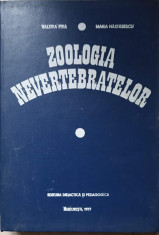 ZOOLOGIA NEVERTEBRATELOR-V. FIRA, M. NASTASESCU foto