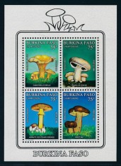 BURKINA FASO 1990 CIUPERCI COTA MICHEL 20 EURO foto