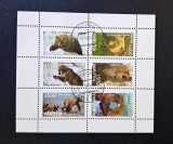 Iacutia (Yakutia / Sakha) 1996 -Coliță / Bloc de 6 Timbre &bdquo;Faună Sălbatică / Urși Brun și Ursul Grizzly&rdquo; Ștampilat - Cod: -SW13