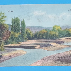 Carte Postala circulata veche anii 1920 - Brad - Crisul Alb