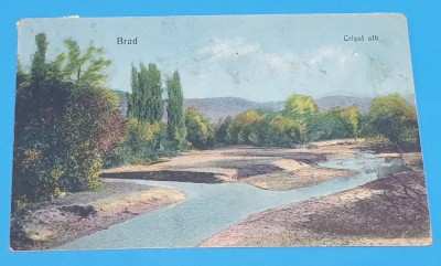 Carte Postala circulata veche anii 1920 - Brad - Crisul Alb foto