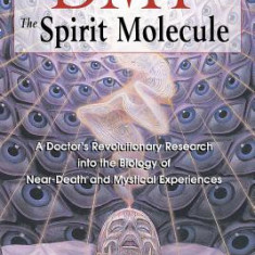 Dmt: The Spirit Molecule: A Doctor's Revolutionary Research Into the Biology of Near-Death and Mystical Experiences