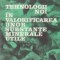 Tehnologii noi in valorificarea unor substante minerale utile