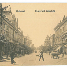 5055 - BUCURESTI, Elisabeth Ave, Romania - old postcard, CENSOR - used - 1917