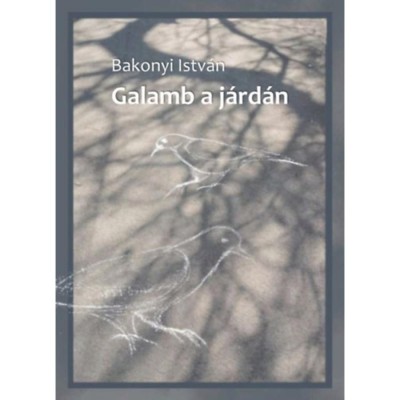 Galamb a j&amp;aacute;rd&amp;aacute;n - Bakonyi Istv&amp;aacute;n foto