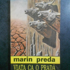 Marin Preda - Viata ca o prada (1993)