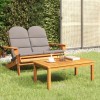 Set mobilier de grădină Adirondack, 2 piese, lemn masiv acacia