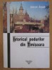 Istoricul podurilor din Timisoara / Jancso Arpad