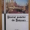 Istoricul podurilor din Timisoara / Jancso Arpad