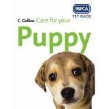 Care for Your Puppy (RSPCA Pet Guides)