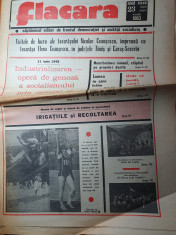 flacara 10 iunie 1983-cenaclul flacara,art gheorghe zamfir,suedia-romania 0-1 foto