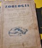 Dimitrie Dimo, Stefan Niculescu - Zoologia pentru cursul superior