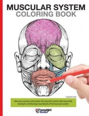 Muscular System Coloring Book: Now You Can Learn and Master the Muscular System with Ease While Having Fun