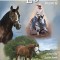 Legends: Outstanding Quarter Horse Stallions &amp; Mares