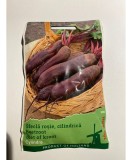 Seminte Sfecla Rosie Cylindra 5 g., Oem