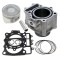 Set motor ATV CF moto 500cc