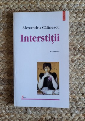 INTERSTITII - ALEXANDRU CALINESCU , 1998 foto