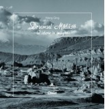 Drumul matasii. O istorie in imagini - Wang Qing