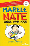 Marele Nate. Vol.1: Intaiul intre pusti - Lincoln Peirce