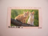 B11 9 - Carduri si cartele telefonice - Japonia - Pisici - piesa de colectie