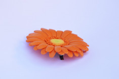 Brosa Gerbera foto