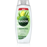 Radox Mineral Therapy gel de duș Aloe Vera &amp; Avocado 450 ml