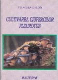 Cultivarea ciupercilor pleurotus (Chilom)