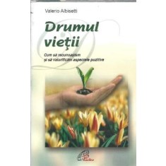 Drumul vietii. Cum sa recunoastem si sa valorificam aspectele pozitive - Valerio Albisetti