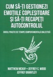 Cum sa-ti gestionezi emotiile coplesitoare si sa-ti recapeti autocontrolul - Matthew Mckay Jeffrey Brantley Jeffrey C Wood - Editura Herald