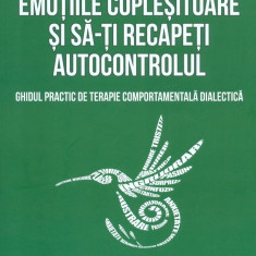 Cum sa-ti gestionezi emotiile coplesitoare si sa-ti recapeti autocontrolul