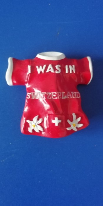D4 - Magnet frigider - tematica turism - Elvetia 1